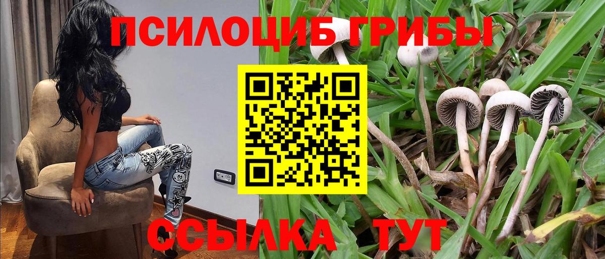 продажа наркотиков  Псилоцибиновые грибы MAGIC MUSHROOMS  Вход с VPN  Мончегорск 